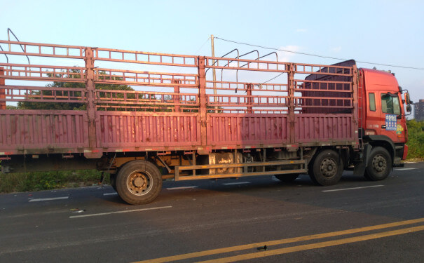 大邑物流公司運輸（shū）車